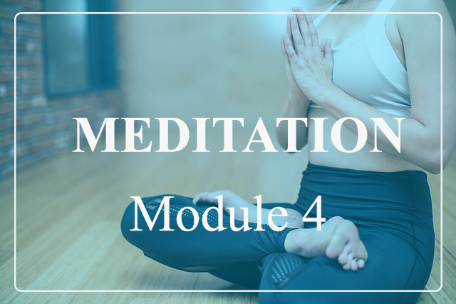 Meditation Modules Nafta