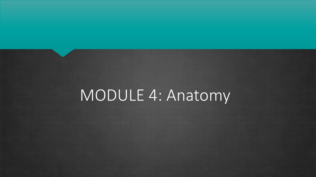 Personal Fitness Trainer Modules Nafta