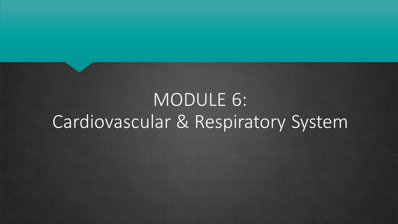 Personal Fitness Trainer Modules Nafta