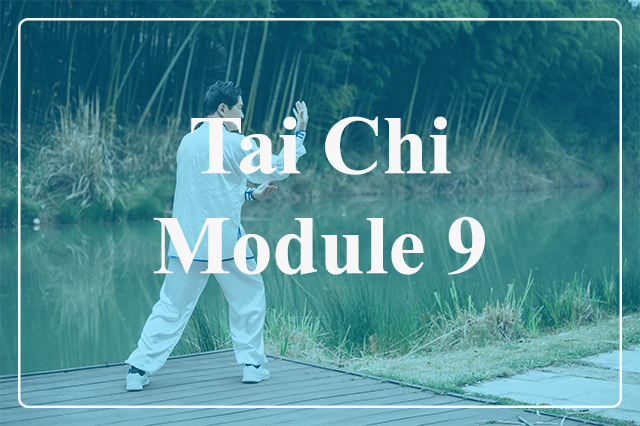 Tai Chi Modules Nafta